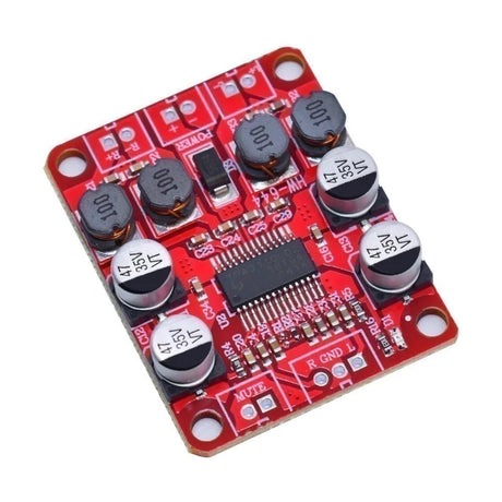 TPA3110 Module